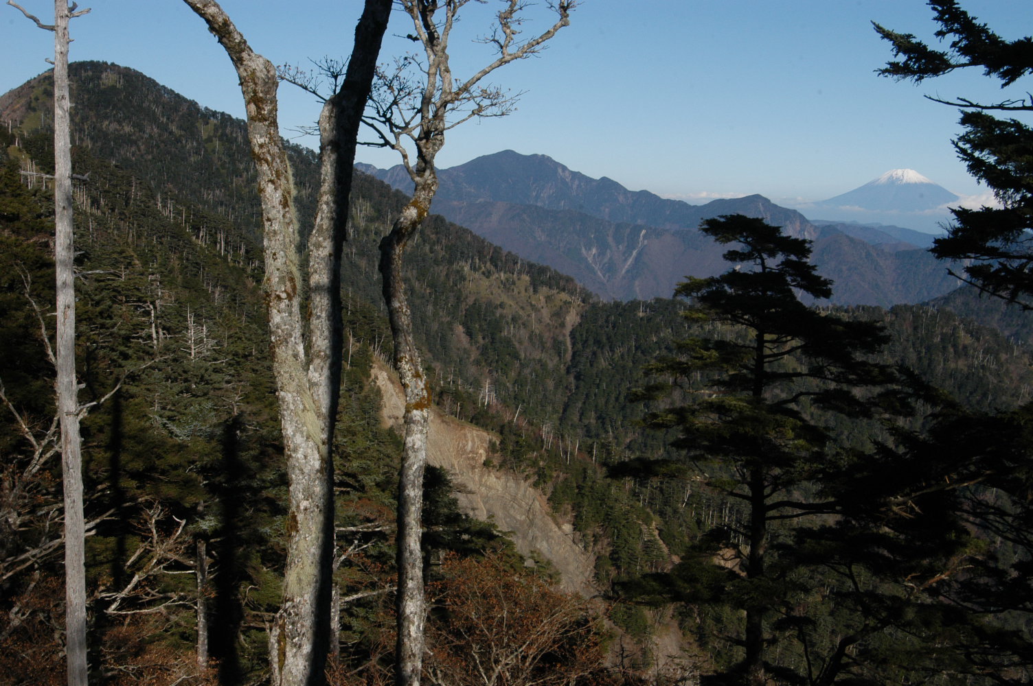 e0008887_10403668.jpg