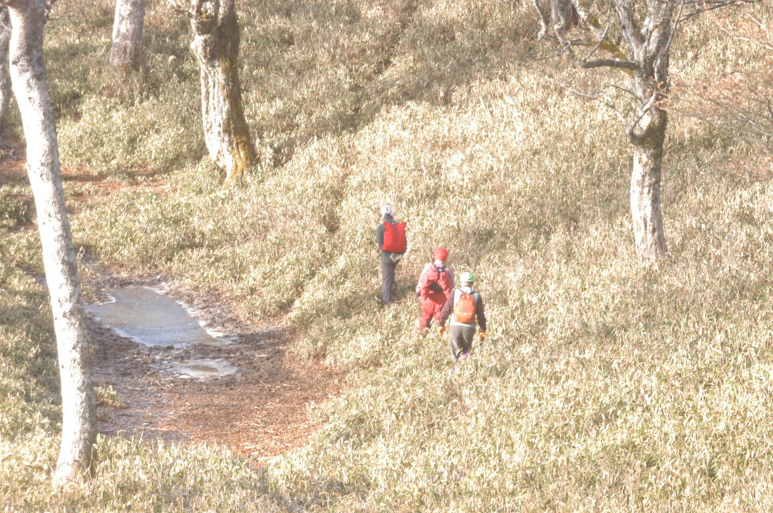 e0008887_10510347.jpg