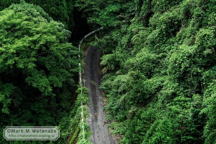 竜門ダムに沈んだ村行きの廃路_e0135098_07442995.jpg