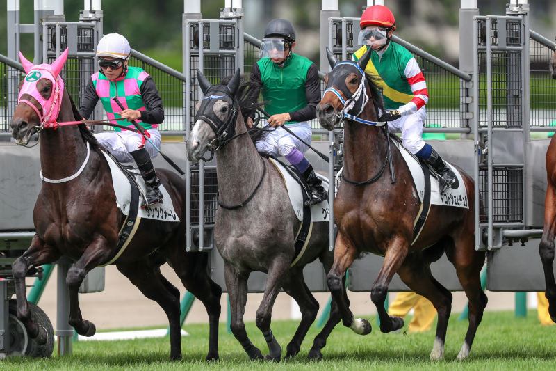 2019年7月20日　函館日刊S杯_f0204898_21564219.jpg