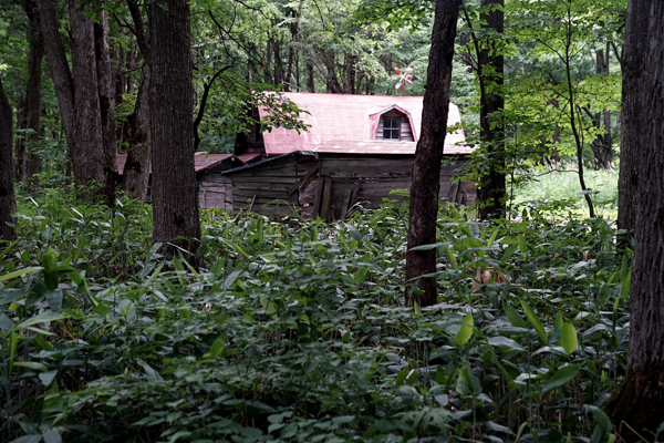 e0277800_17194692.jpg