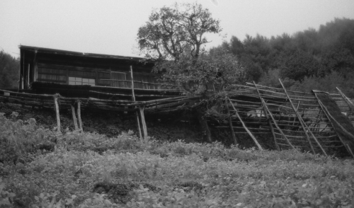 d0147406_21202559.jpg