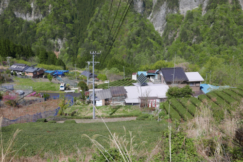 d0147406_21224987.jpg