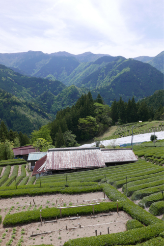 d0147406_21480270.jpg
