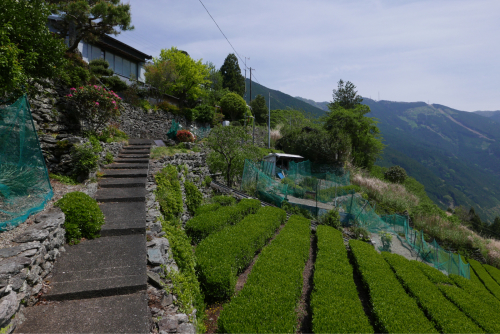 d0147406_21515916.jpg
