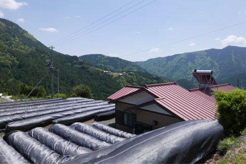 天界の村を歩く2 南アルプス 大井川_d0147406_22062839.jpg