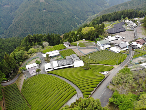 天界の村を歩く2 南アルプス 大井川_d0147406_22090845.jpg