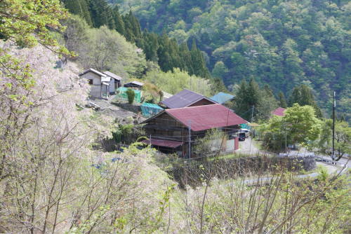 d0147406_22324705.jpg