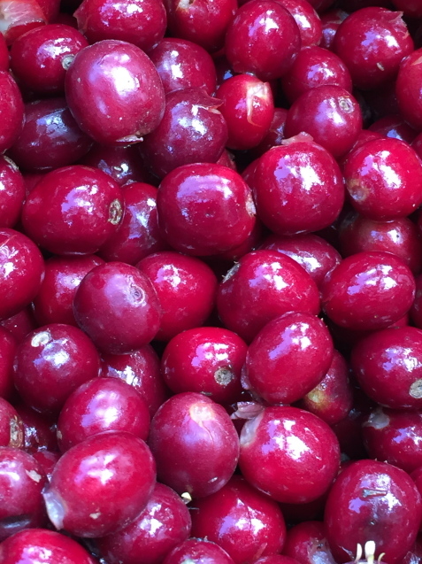 b0182709_17384767.jpg
