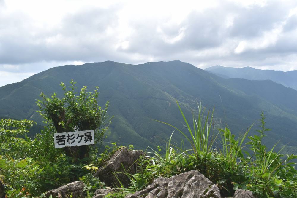 f0212511_19202538.jpg