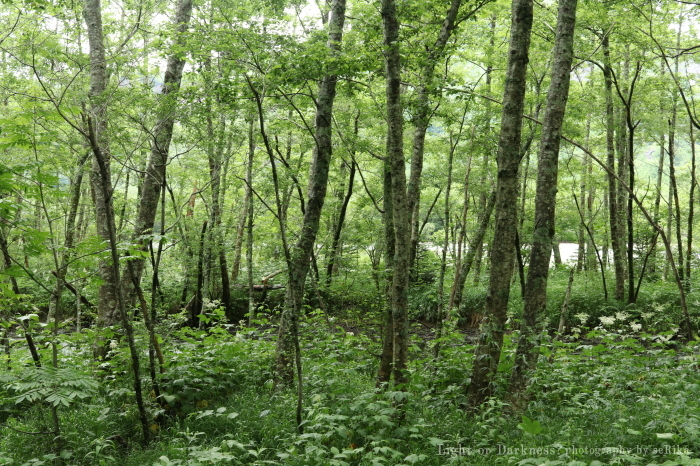 b0393924_13134165.jpg