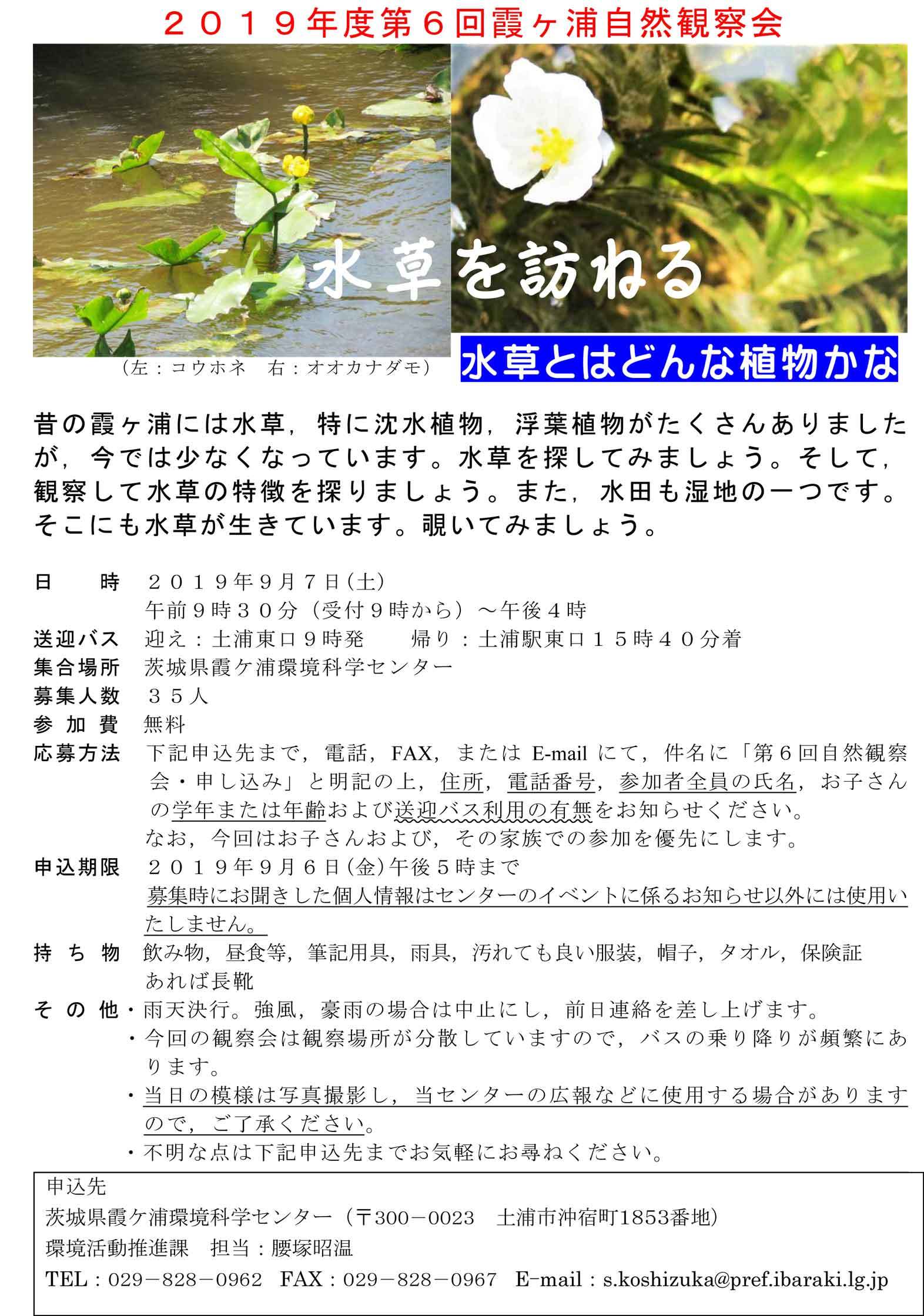 第６回霞ヶ浦自然観察会 水草を訪ねる 水草とはどんな植物かな を開催します ぴゅあちゃんの部屋