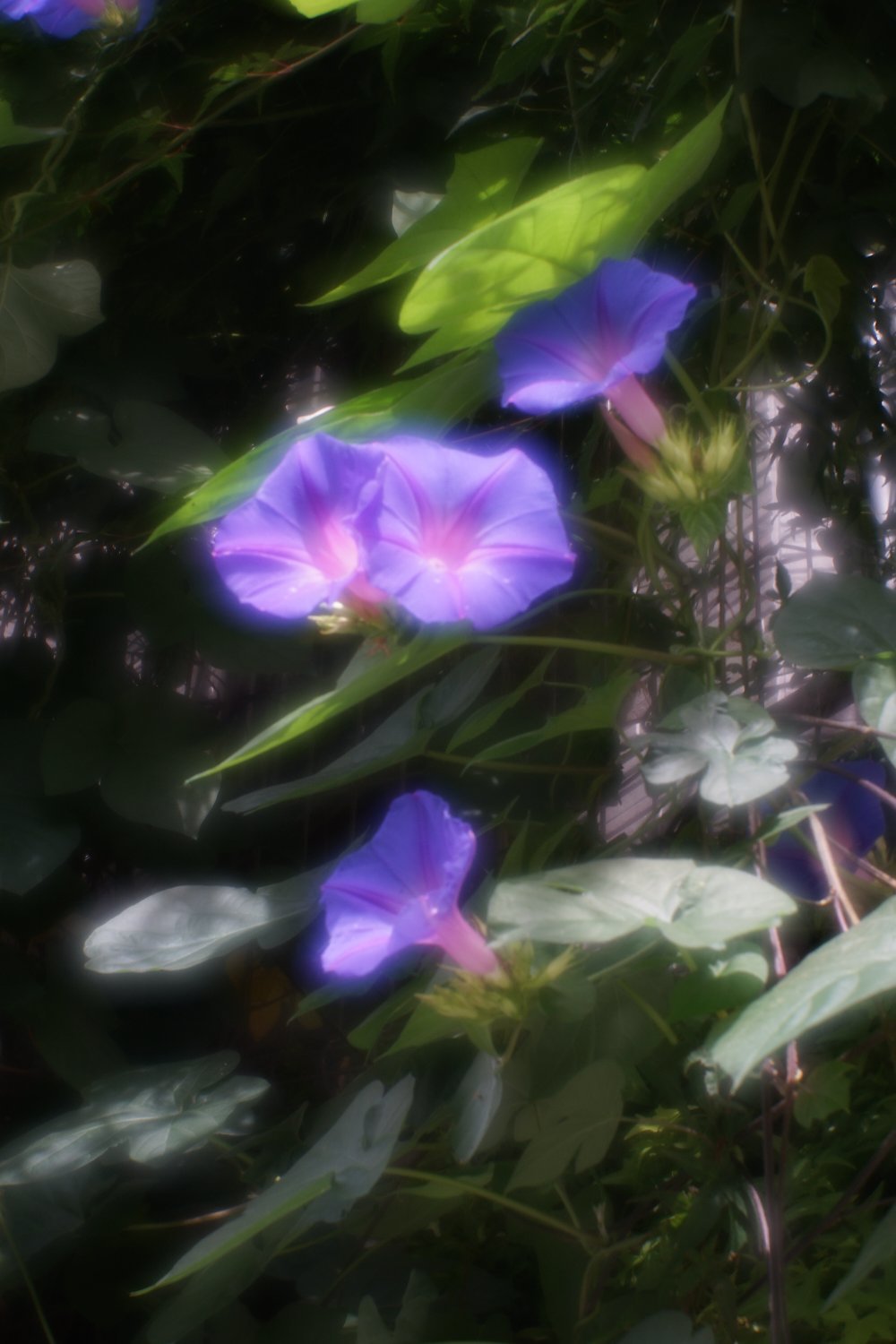 b0069128_10594991.jpg