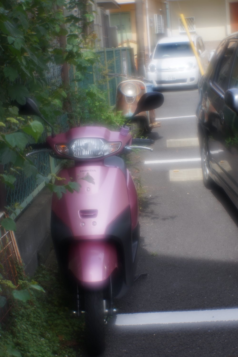 b0069128_11011692.jpg