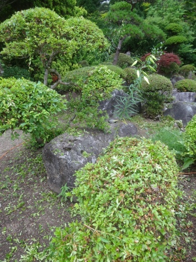 選挙に_c0111229_19511440.jpg
