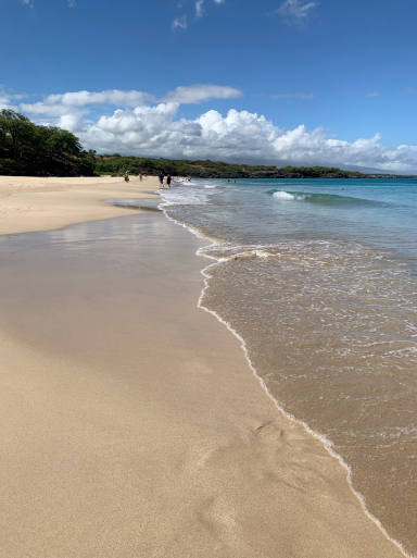 c0223630_17545387.jpg