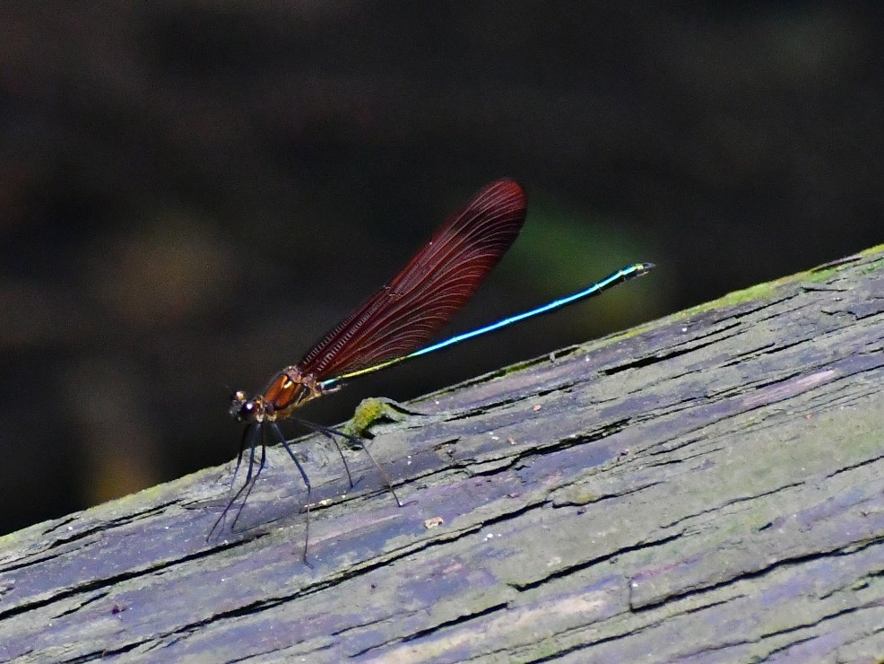 f0340732_23202994.jpg