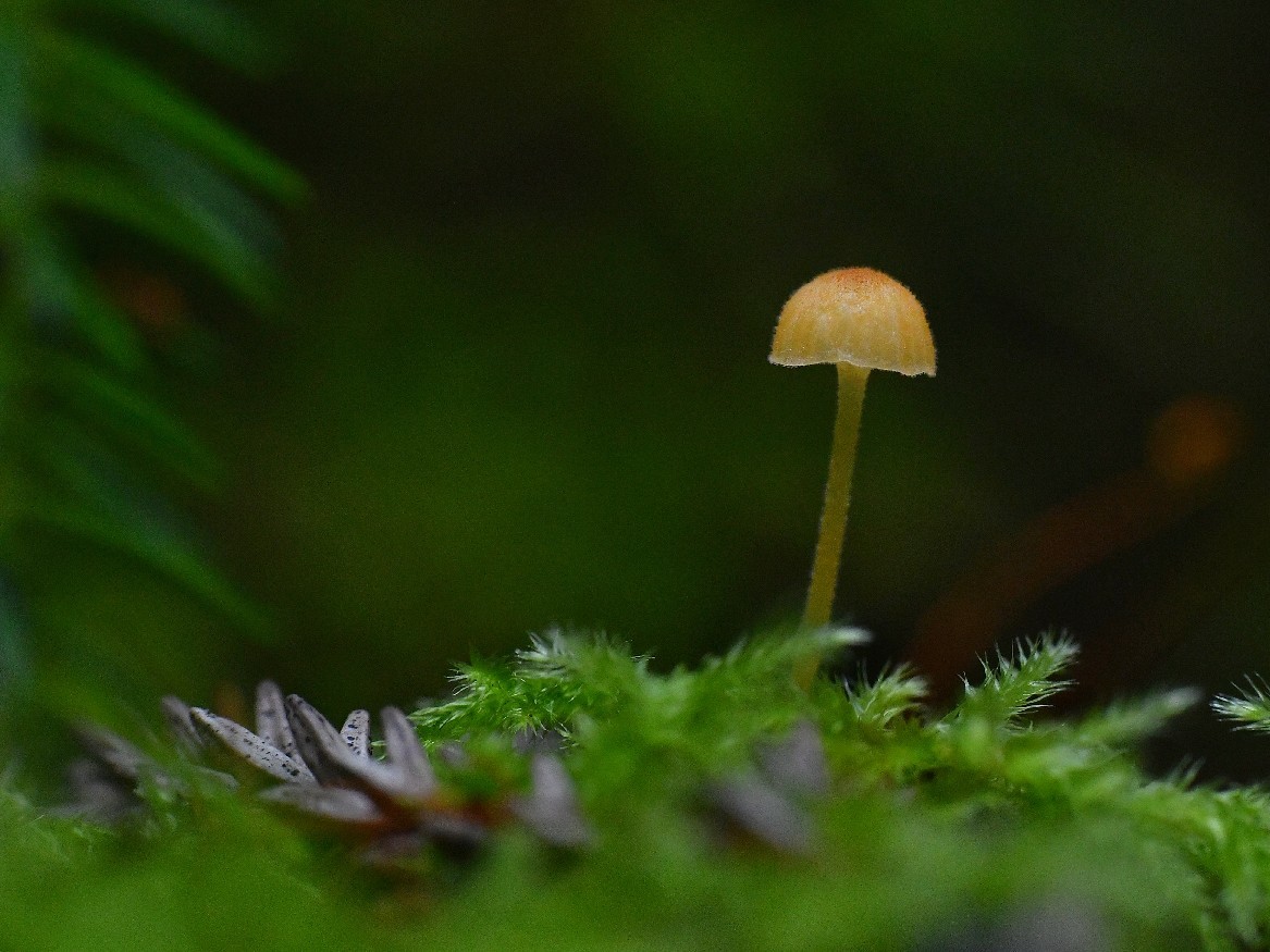 f0340732_23260492.jpg