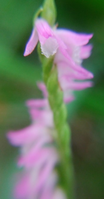 b0246533_20291344.jpg