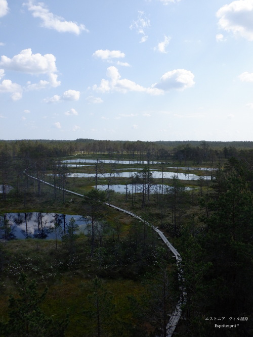 f0142141_1515010.jpg