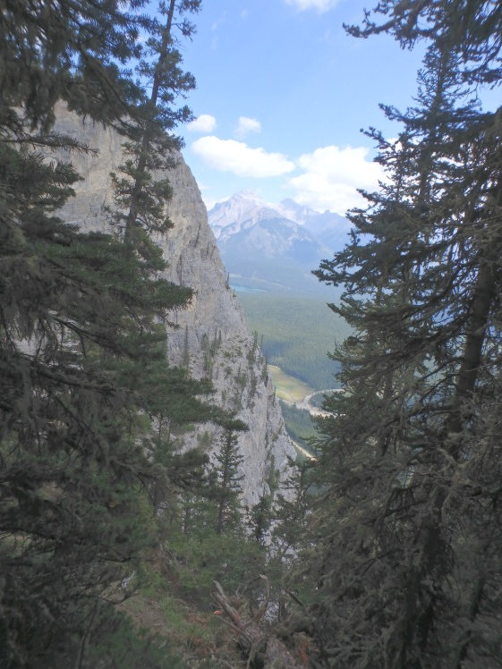 a0067744_14013167.jpg