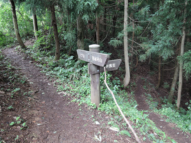 c0116856_09572439.jpg
