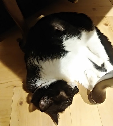 c0172261_09071167.jpg