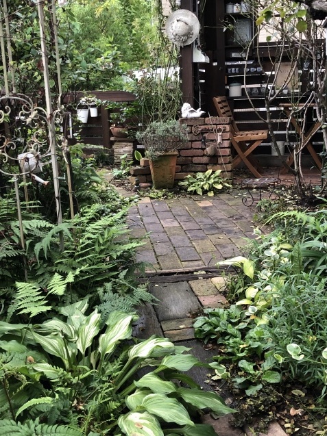 カラーリーフの寄せ植え2つと東南の庭の様子 : 小さな棲家