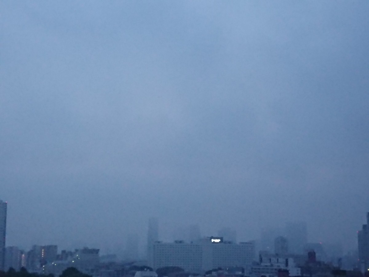 おはようモーニング_c0100865_05031596.jpg
