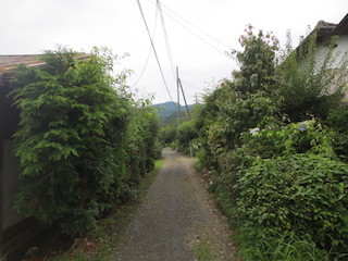 d0389166_16541645.jpg