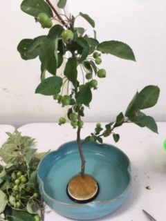 生け花教室 -第一日目_e0350971_09273465.jpg
