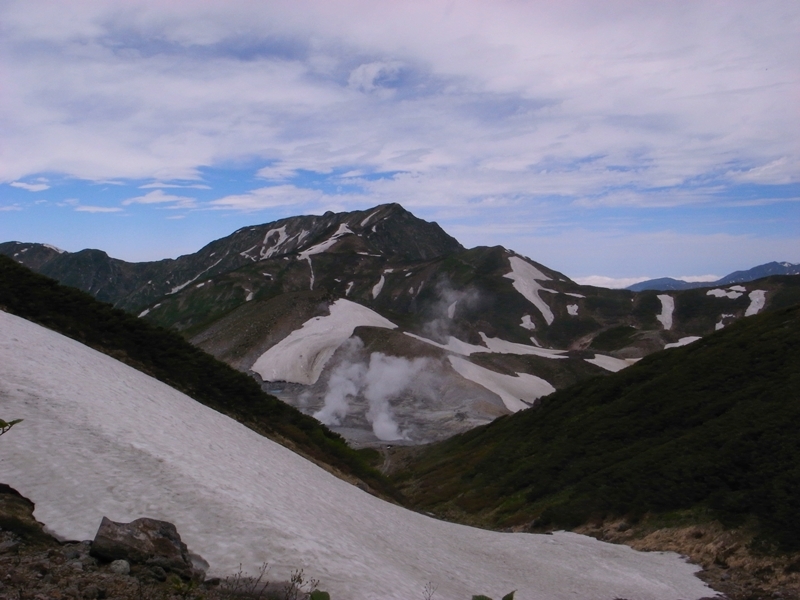 初立山　イワカガミ　Byヒナ_c0343075_21374637.jpg