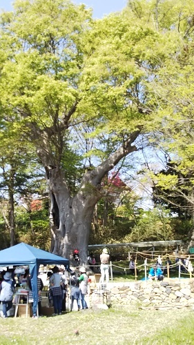 a0158478_16190667.jpg
