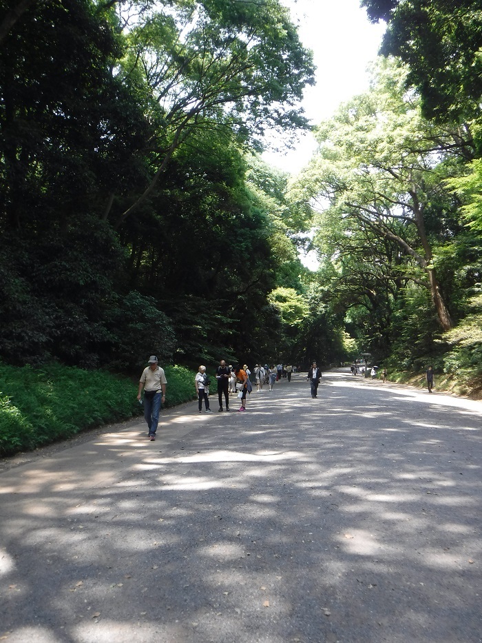 f0238779_07442005.jpg