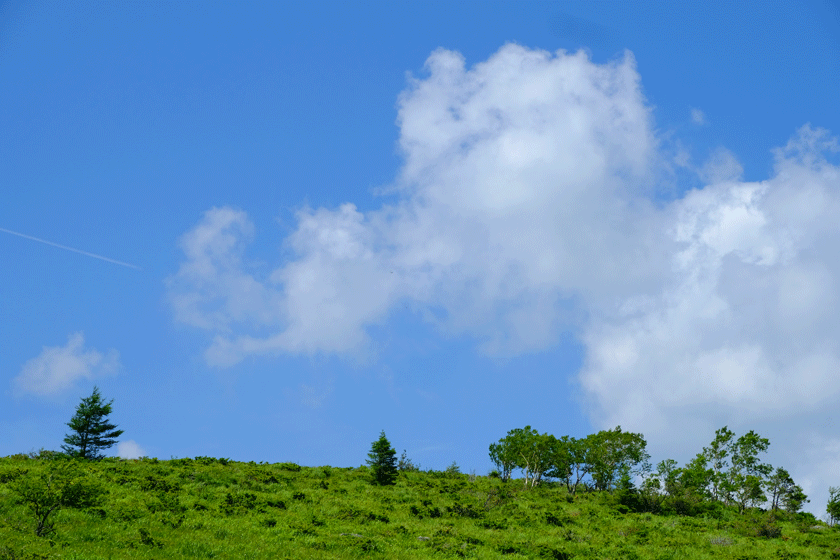 e0243382_11542639.gif