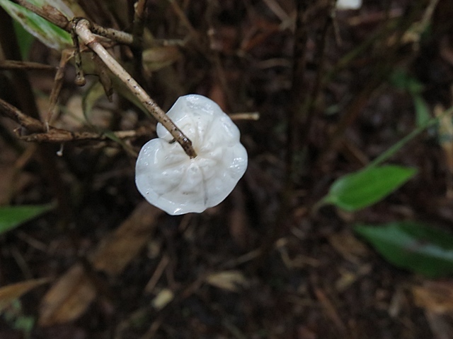 f0357487_23223317.jpg