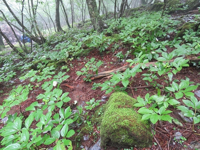 f0357487_23241918.jpg