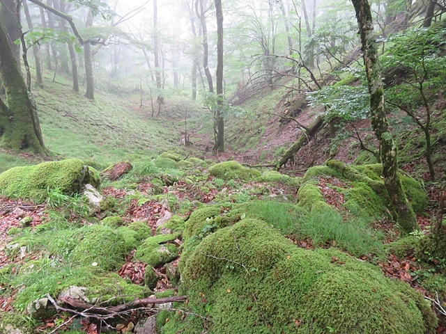 f0357487_23272488.jpg