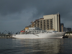 b0192588_8153527.jpg