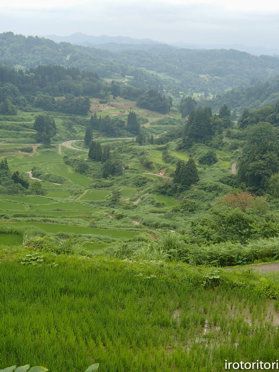d0146592_23360693.jpg