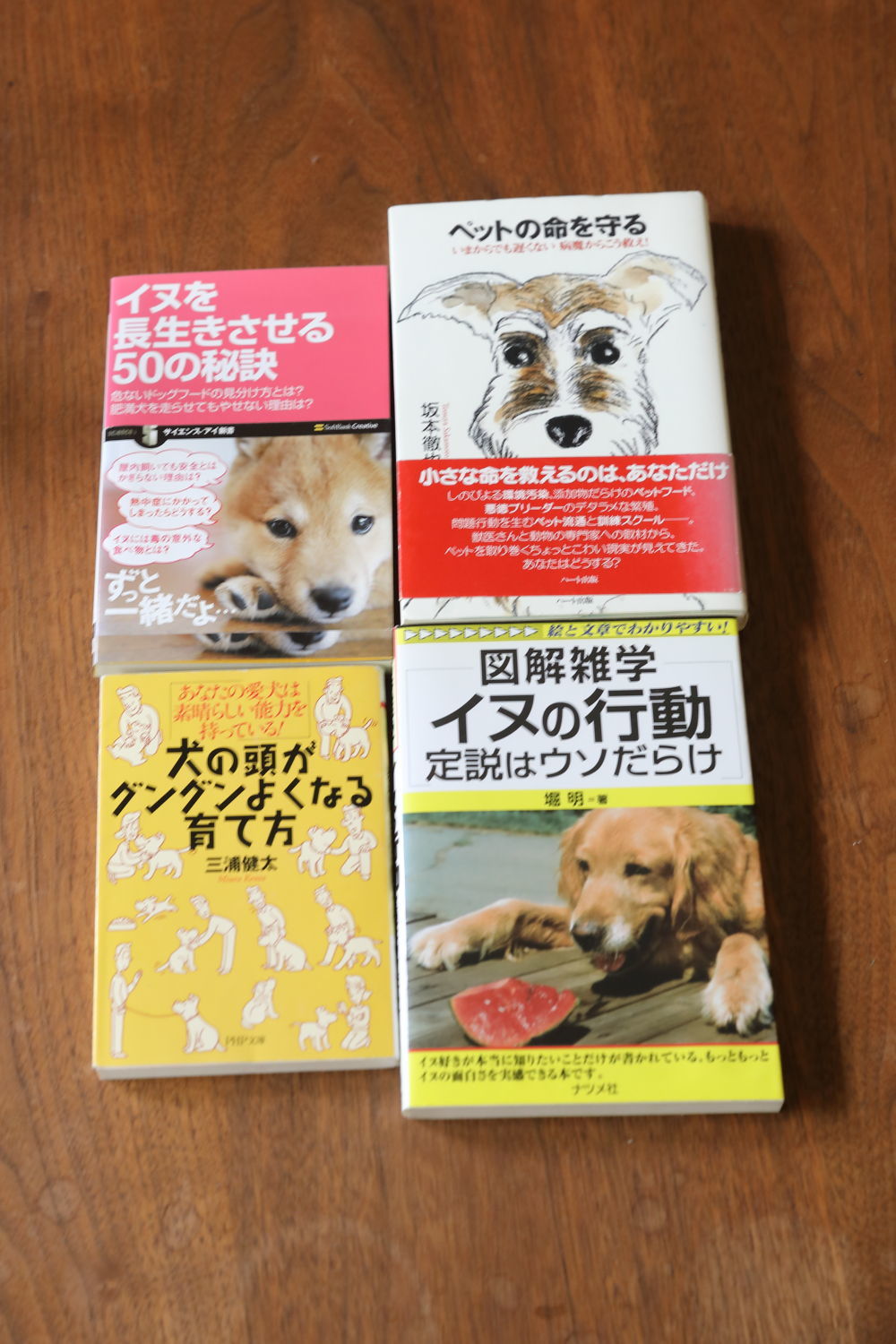 サークルが届く♪_b0275998_15545087.jpg