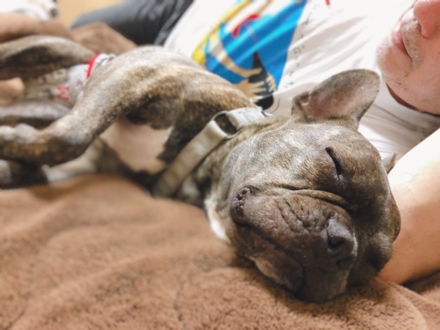 b0195100_09501067.jpeg