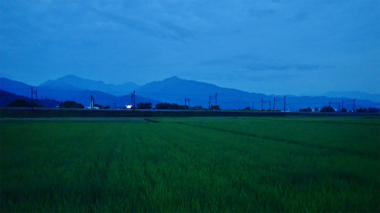 c0336902_20564732.jpg