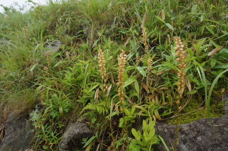 d0359010_14515340.jpg