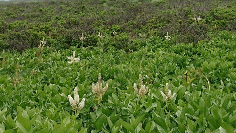 d0359010_14530452.jpg
