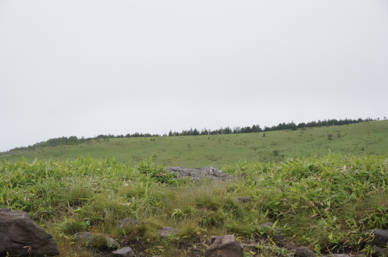 d0359010_14551968.jpg