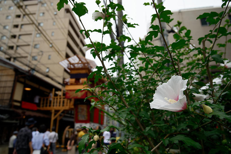 f0032011_20151068.jpg