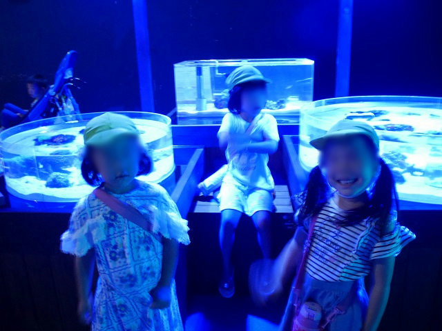e0148419_14191191.jpg
