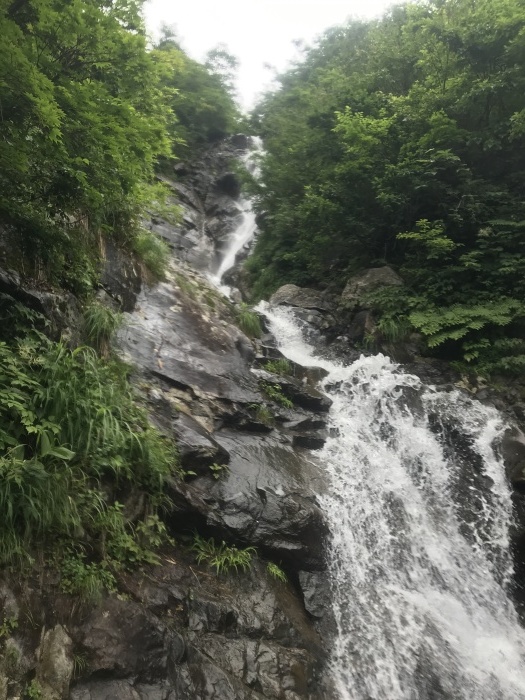 b0037220_08503947.jpg