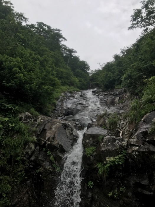 b0037220_08513668.jpg